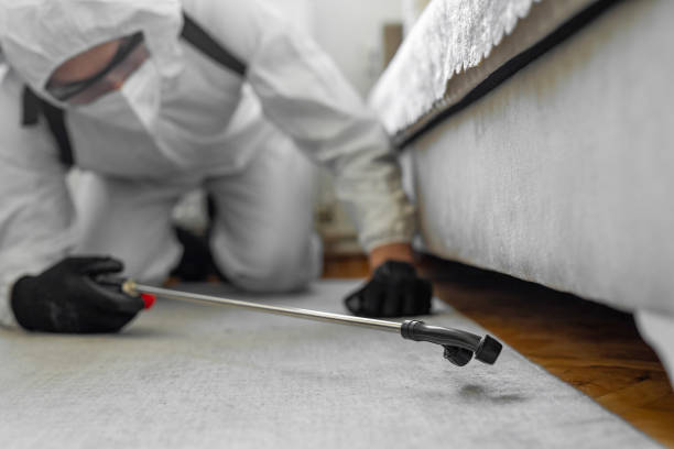 Professional Cockroach Control technician working in Hartwell, GA