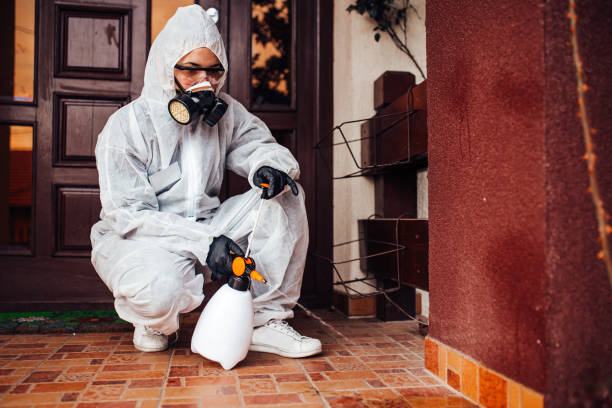Reliable Cockroach Control contractor in Hartwell, GA by Nex Pest Control